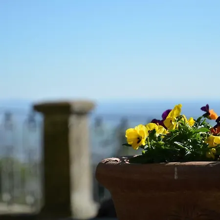 Donnaberarda * Cortona