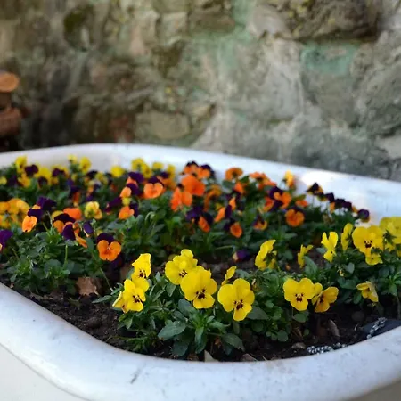 Apartment Donnaberarda *