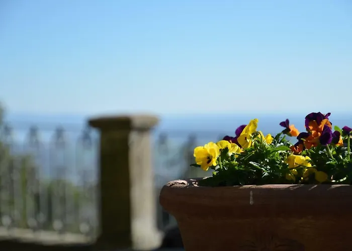 Donnaberarda * Cortona