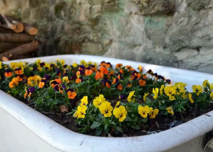 Apartment Donnaberarda *