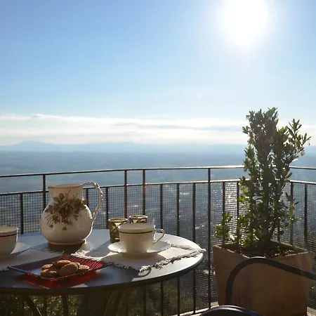 Donnaberarda * Cortona