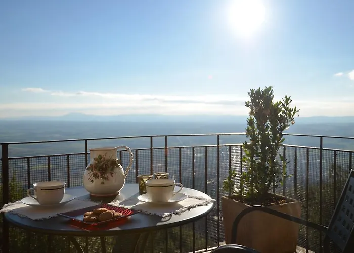 Donnaberarda * كورتونا