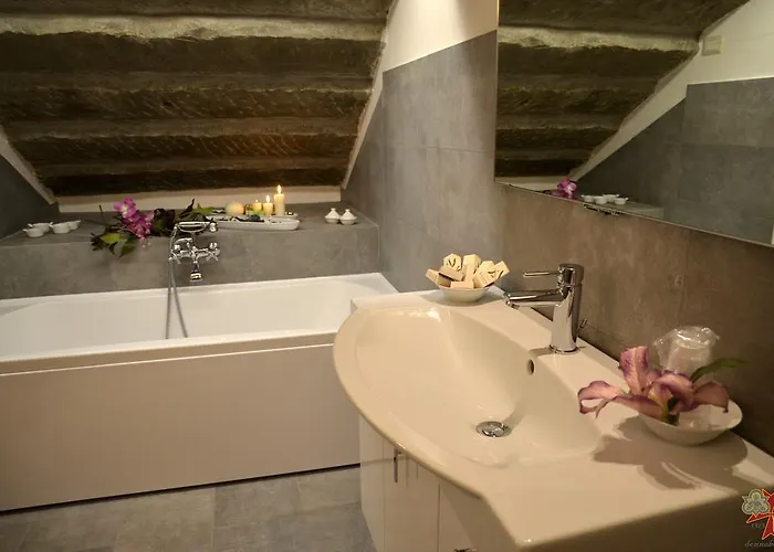 Donnaberarda * كورتونا