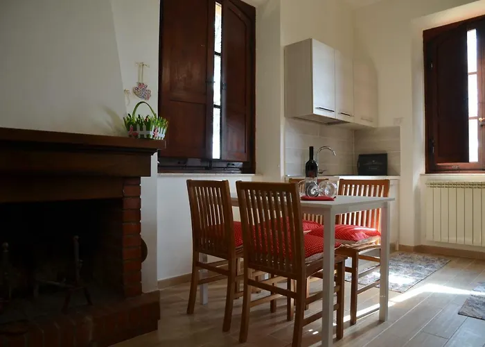 Donnaberarda * كورتونا